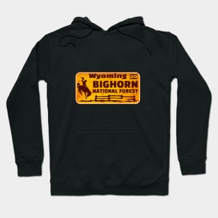 Bighorn National Forest License Plate Wyoming Rusted Hoodie